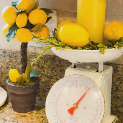 /img/10799-lemon-summer-kitchen-7.webp