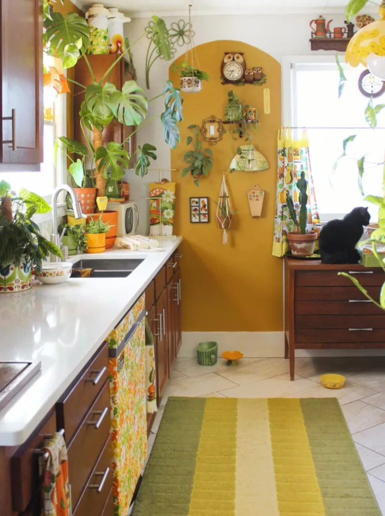 10858 crazy kitchen decor storage