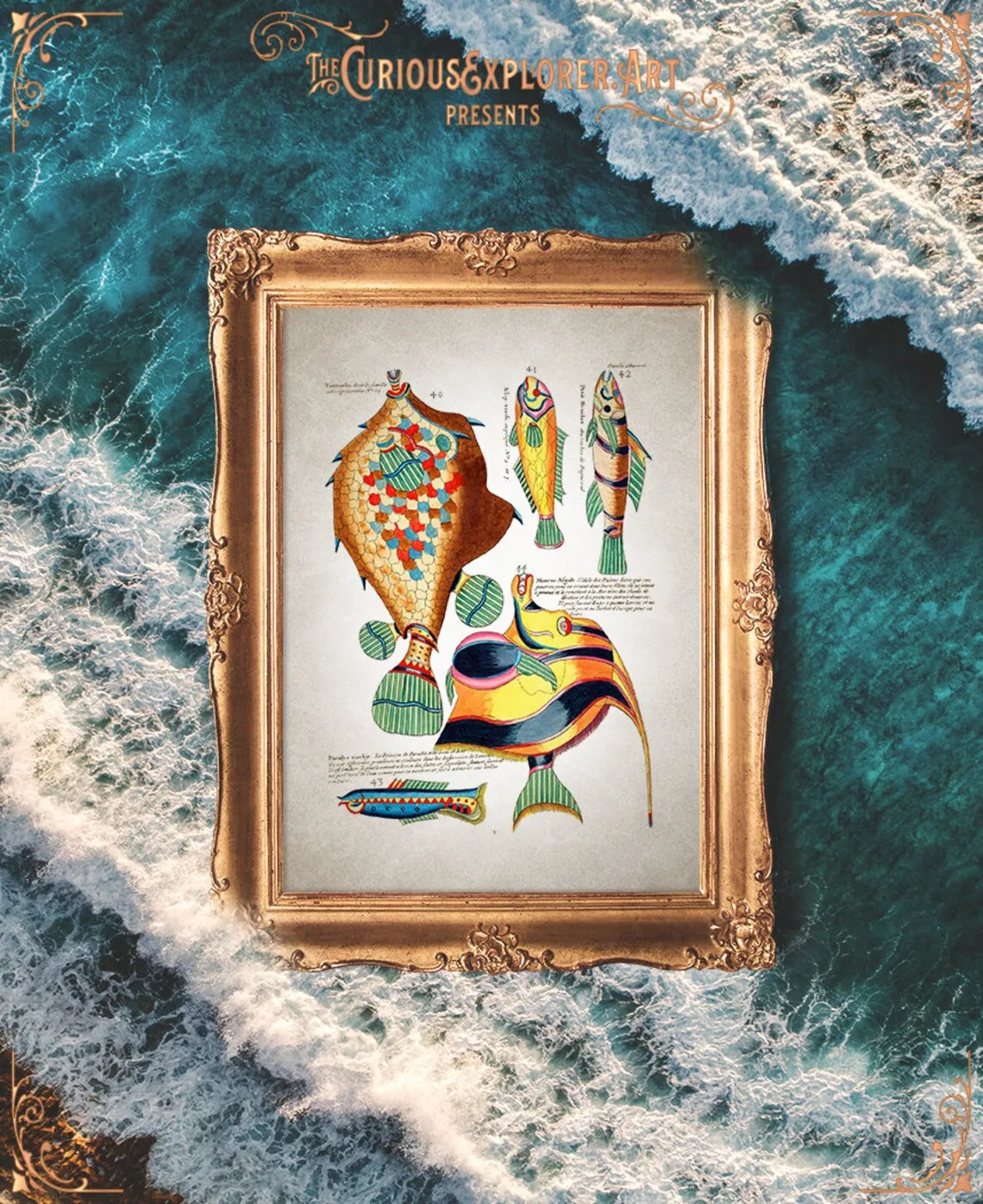 10903 nautical fish kitchen