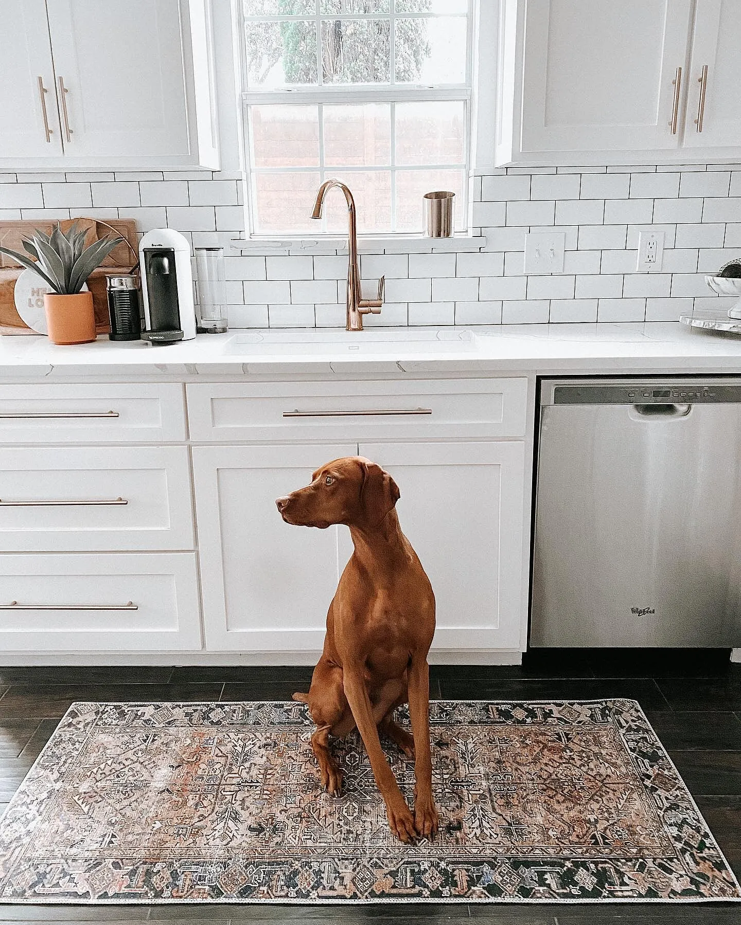10957 white kitchen lighting
